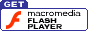 macromedia flash player